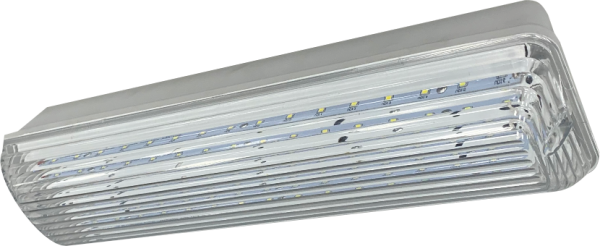 Светильник светодиодный промышленный СПС Мини-10 от магазина Рабочий класс